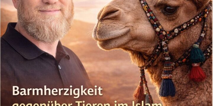 Barmherzigkeit gegenüber Tieren im Islam